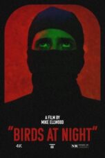 Birds at Night (2024)